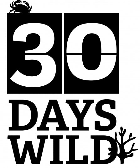 Wildlife Trust guest blog: Make June a wild time for children