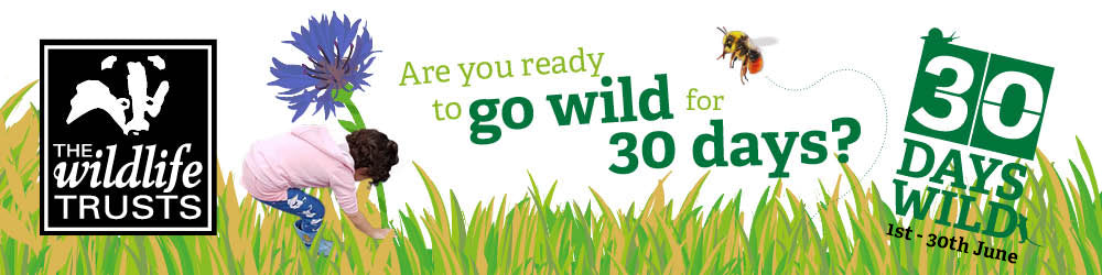 30 Days Wild Day 1: What is 30 days wild?