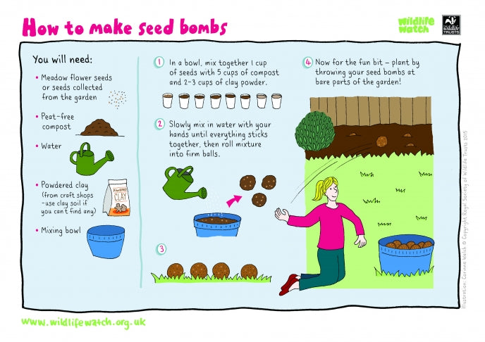 30 Days Wild Day 11: Make a seed bomb