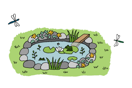 30 Days Wild Day 11: How to build a pond