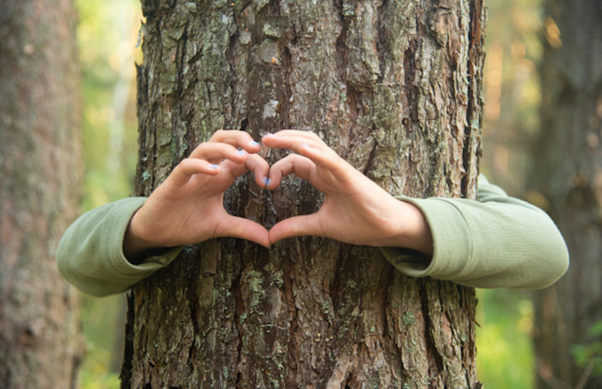 30 Days Wild Blog Day 13: Hug a tree