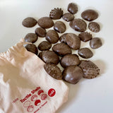 Bag of 35 tactile shells by EDX Education (preloved)