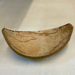 Polished coconut scoop
