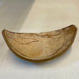 Polished coconut scoop