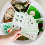 Dinosaur Counting Flashcards