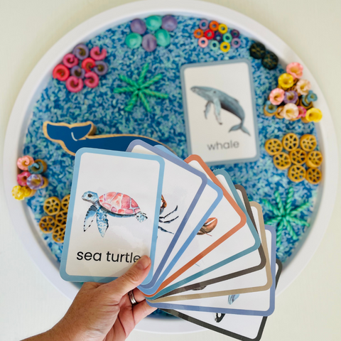 Ocean Creatures Flashcards