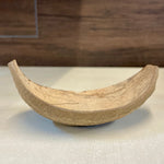 Polished coconut scoop