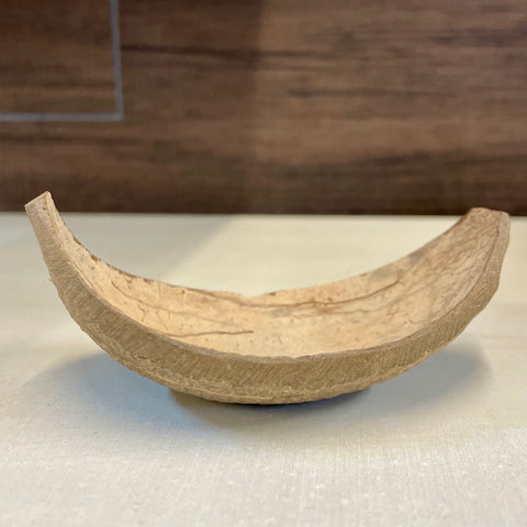 Polished coconut scoop