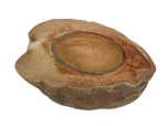 Half natural coconut bowl