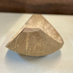 Polished coconut scoop