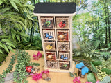 Bug hotel 10 frame