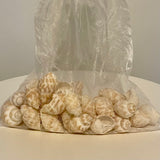 Bag of Babylon shells