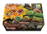 Bugs - sensory play stones