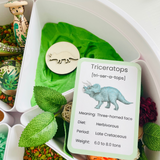 Dinosaur Facts Flashcards