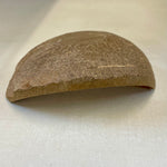 Polished coconut scoop