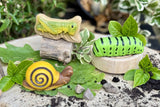 Bugs - sensory play stones