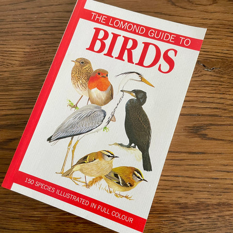 The Lomond guide to birds (preloved)
