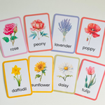 Flowers Flashcards