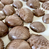 Bag of 35 tactile shells by EDX Education (preloved)