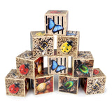 Bug hotel 10 frame
