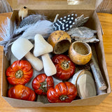 Autumnal natural loose parts collection