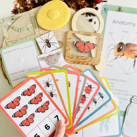 Insect Counting Flashcards