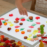 Translucent Colour Leaves and Seeds - pack of 120