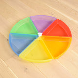 Discovery Colour Trays - Pack of 6