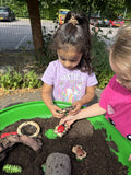 Bugs - sensory play stones
