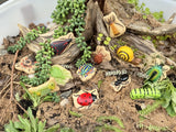 Bugs - sensory play stones