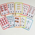 Insect Counting Flashcards