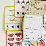 Insect Counting Flashcards