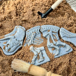 Dig & Discover – Triceratops & Spinosaurus