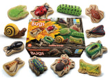 Bugs - sensory play stones