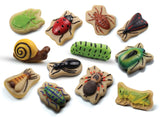 Bugs - sensory play stones