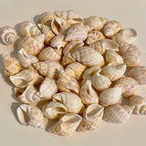 Bag of Babylon shells