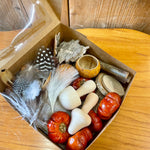 Autumnal natural loose parts collection