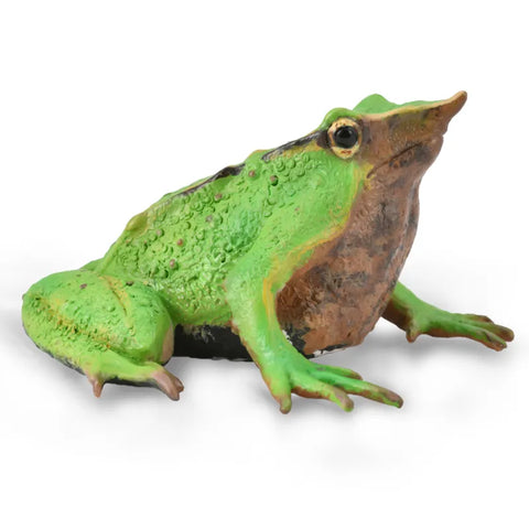 Darwin's frog