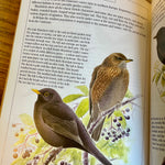 The complete garden bird book (preloved)