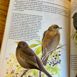 The complete garden bird book (preloved)