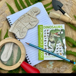 Dig & Discover – Ankylosaurus & Tyrannosaurus rex