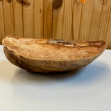 Half natural coconut bowl