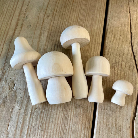Set of 5 wooden mushrooms