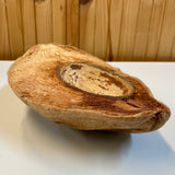 Half natural coconut bowl