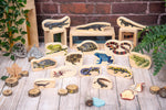 Wooden reptile and amphibian blocks - pack of 15