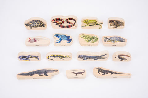 Wooden reptile and amphibian blocks - pack of 15