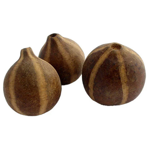 Bellani pumpkin - 1 supplied