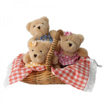 Teddy Bears’ Picnic set