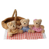 Teddy Bears’ Picnic set