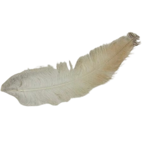 Natural ostrich feather